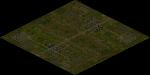Battle field0